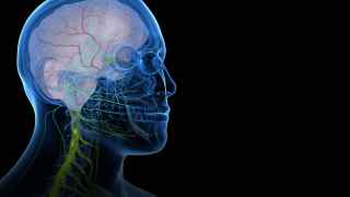 ¿Iluminar el sistema nervioso durante una cirugía? Así funciona la última innovación en el campo de la salud