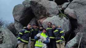 Los bomberos y el dueño de Chispas, felices tras el rescate