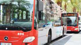Autobuses urbanos de Alicante, en imagen de archivo.