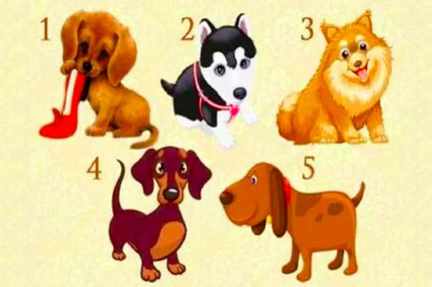 ¿Qué perro eliges en este test de personalidad?