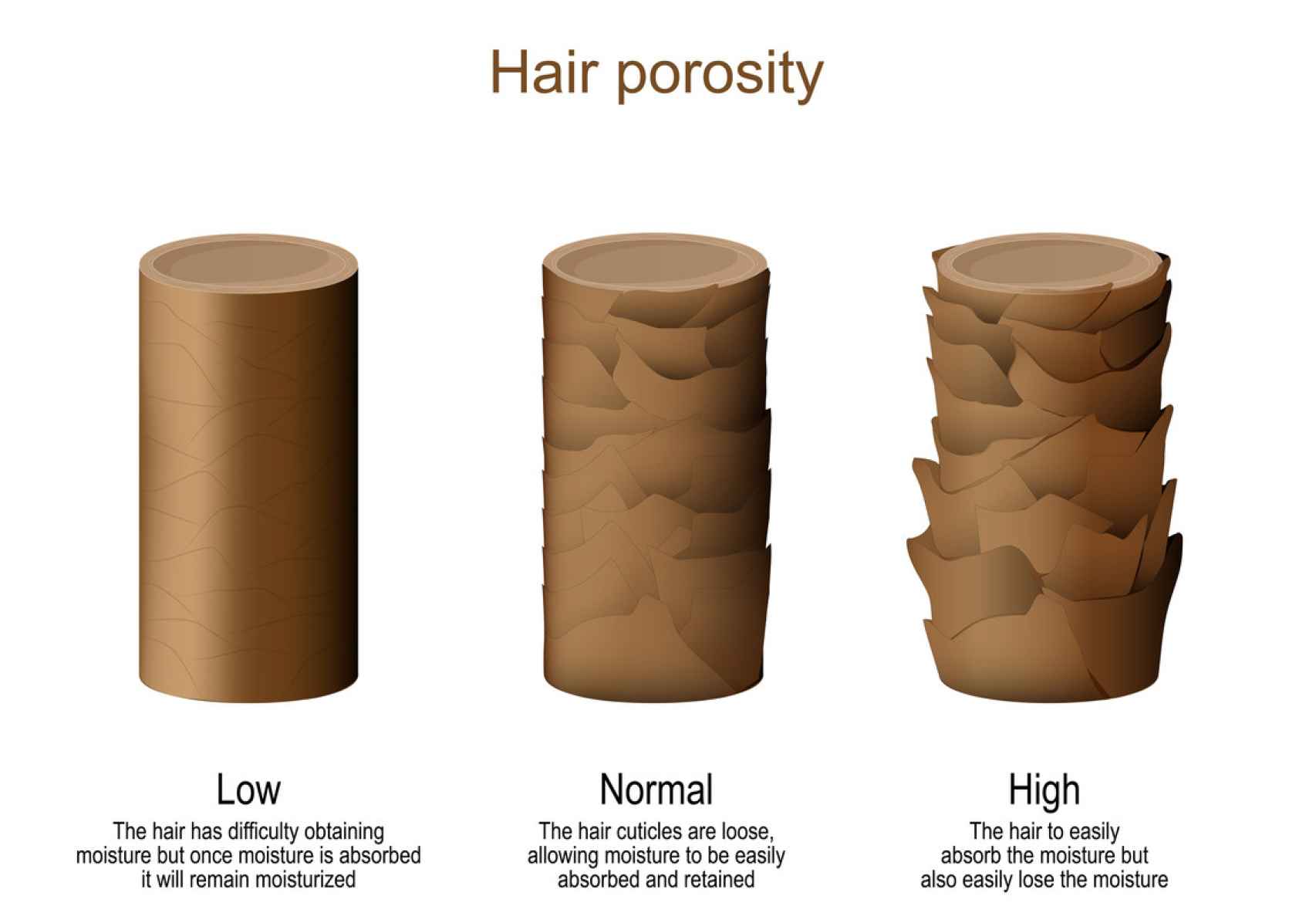 Drawing hair with different levels of porosity.