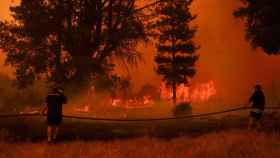 Residentes locales trabajan para extinguir un incendio forestal en Santa Juana, cerca de Concepción, Chile.
