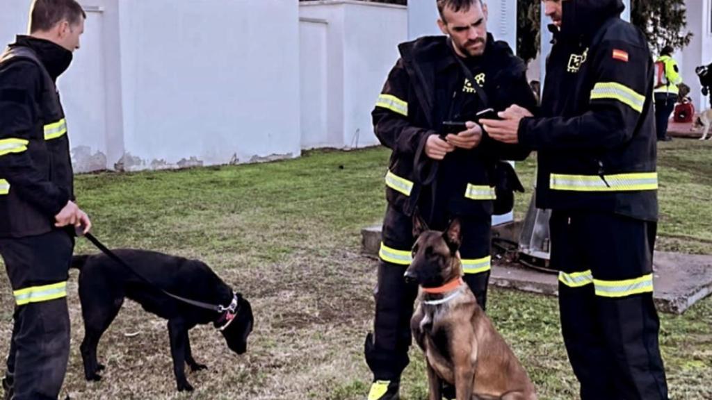 El equipo valenciano trabajando en las inmediaciones del aeropuerto.