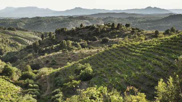 El sobrecogedor paisaje de viñedos del Priorat