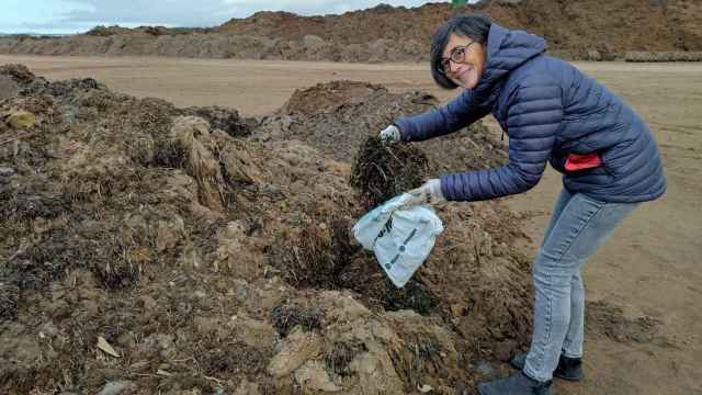 La bióloga Cristina Soler, profesora titular de la Universidad Autónoma de Madrid, este lunes, cogiendo una muestra de algas del Mar Menor en la empresa Reciclesan de Roldán.