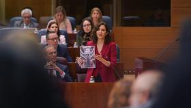 La presidenta de la Comunidad, Isabel Díaz Ayuso, durante el pleno de este 9 de febrero.