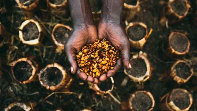 Una mujer muestra un cultivo local de Uganda. Al fondo, las macetas biodegradables impulsadas por la startup Trees4Humanity.