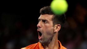 Djokovic celebra un punto durante uno de sus últimos partidos.