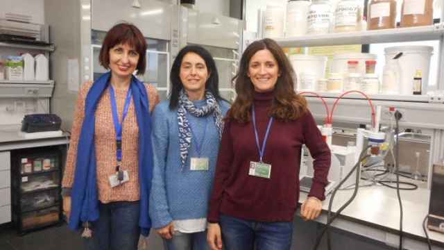 Parte del equipo de investigación (de izquierda a derecha): Teresa Sanz, Ana Salvador y María Espert .