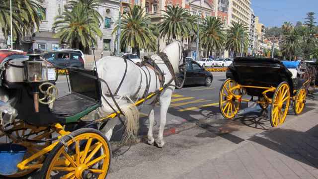 Coches de caballos en Málaga capital