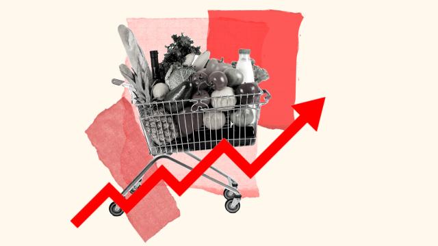 Ilustración sobre la evolución de los precios de los productos de una compra 'tipo' familiar.