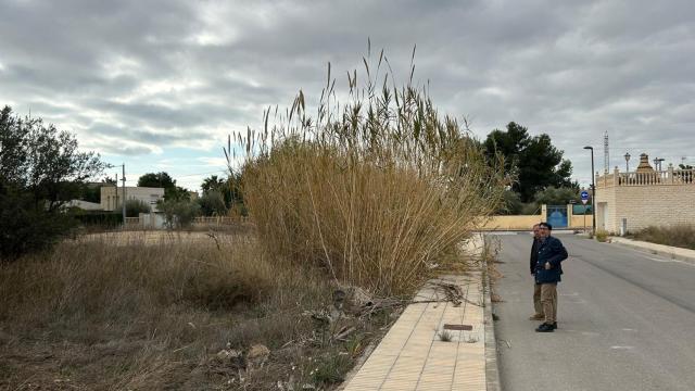 Visita a uno de los solares abandonados por el Ayuntamiento.