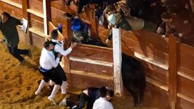 Momento en el que el toro se coló en el burladero