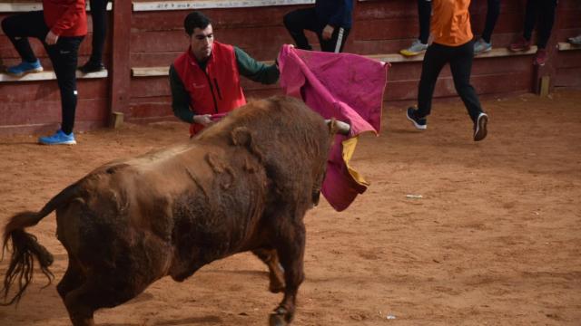 Vídeo del encierro de Ciudad Rodrigo