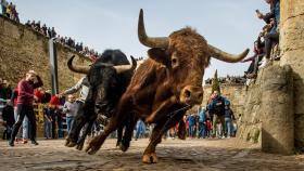 Imagen de uno de los eventos taurinos en el Carnaval de Ciudad Rodrigo 2023.