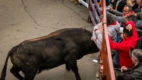 Momento de la cogida de la mujer de 55 años en el Carnaval del Toro de Ciudad Rodrigo