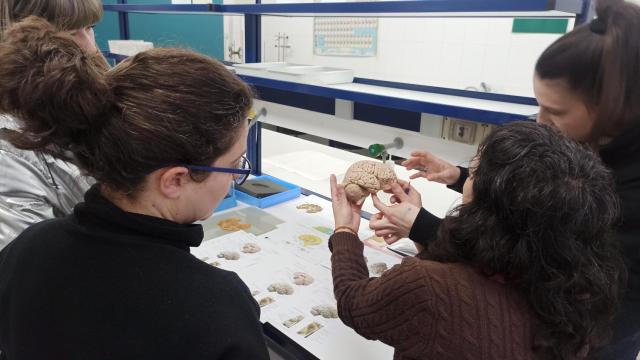 Los estudiantes de UNED Zamora observando un cerebro humano real