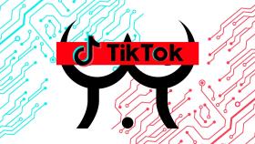 Fotomontaje de TikTok