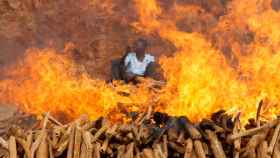 Un trabajador se sienta mientras se prende fuego al sándalo recolectado ilegalmente y confiscado por los equipos de seguridad de varias agencias de Kenia.