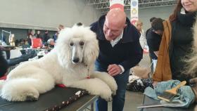 El candidato a la Alcaldía de Valladolid, Jesús Julio Carnero, visitando Fimascota