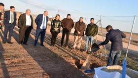 Castilla-La Mancha se consolida como la primera región productora de pistacho del país