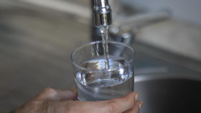 Consumo de agua de grifo en España.