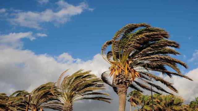 Las fuertes rachas de viento obligan a los Bomberos a llevar a cabo 29 intervenciones en Alicante