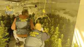 La Guardia Civil localiza dos laboratorios de marihuana