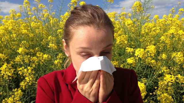 Tiempo de alergias: cómo detectarlas, maneras para tratarlas y cuándo acudir al especialista