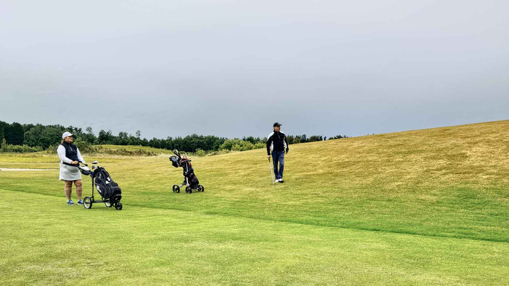 Varias personas practican el deporte del golf.