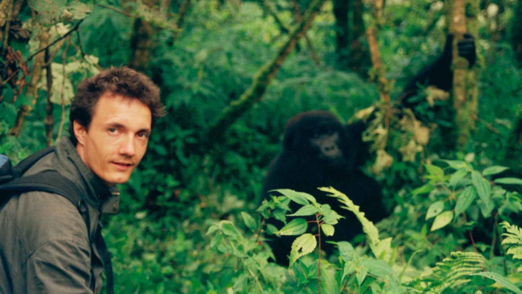 Oficialdegui sigue el rastro de unos gorilas en las montañas Virunga de Ruanda, en 1996