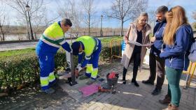 Talavera de la Reina instalará 42 fuentes de las que podrán beber personas y mascotas