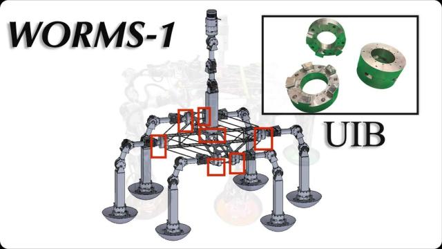 El proyecto WORMS del MIT