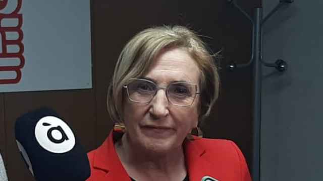 La candidata del PSOE a la Alcaldía de Alicante, Ana Barceló, de precampaña.