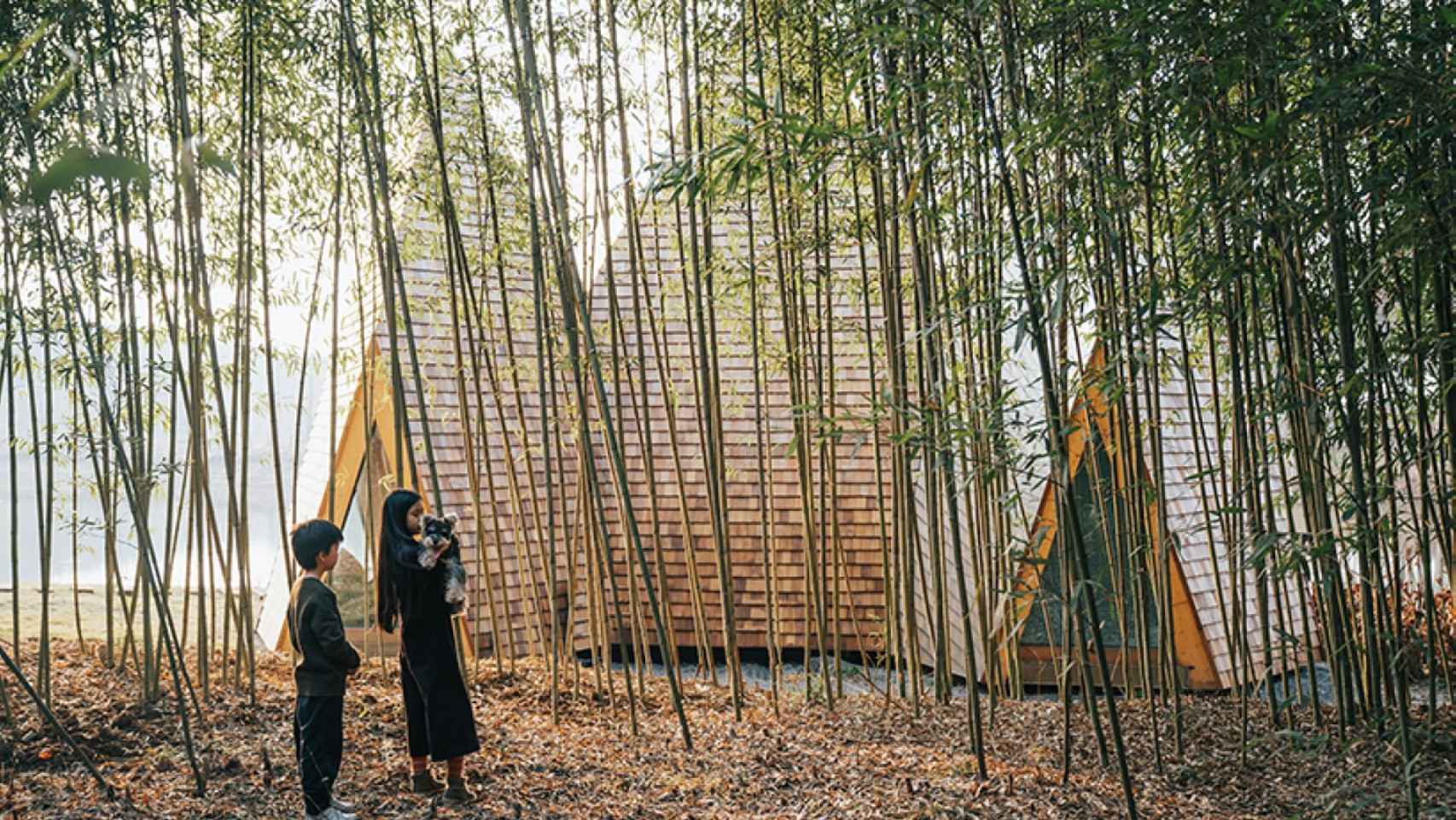 La cabaña rodeada por bambú.