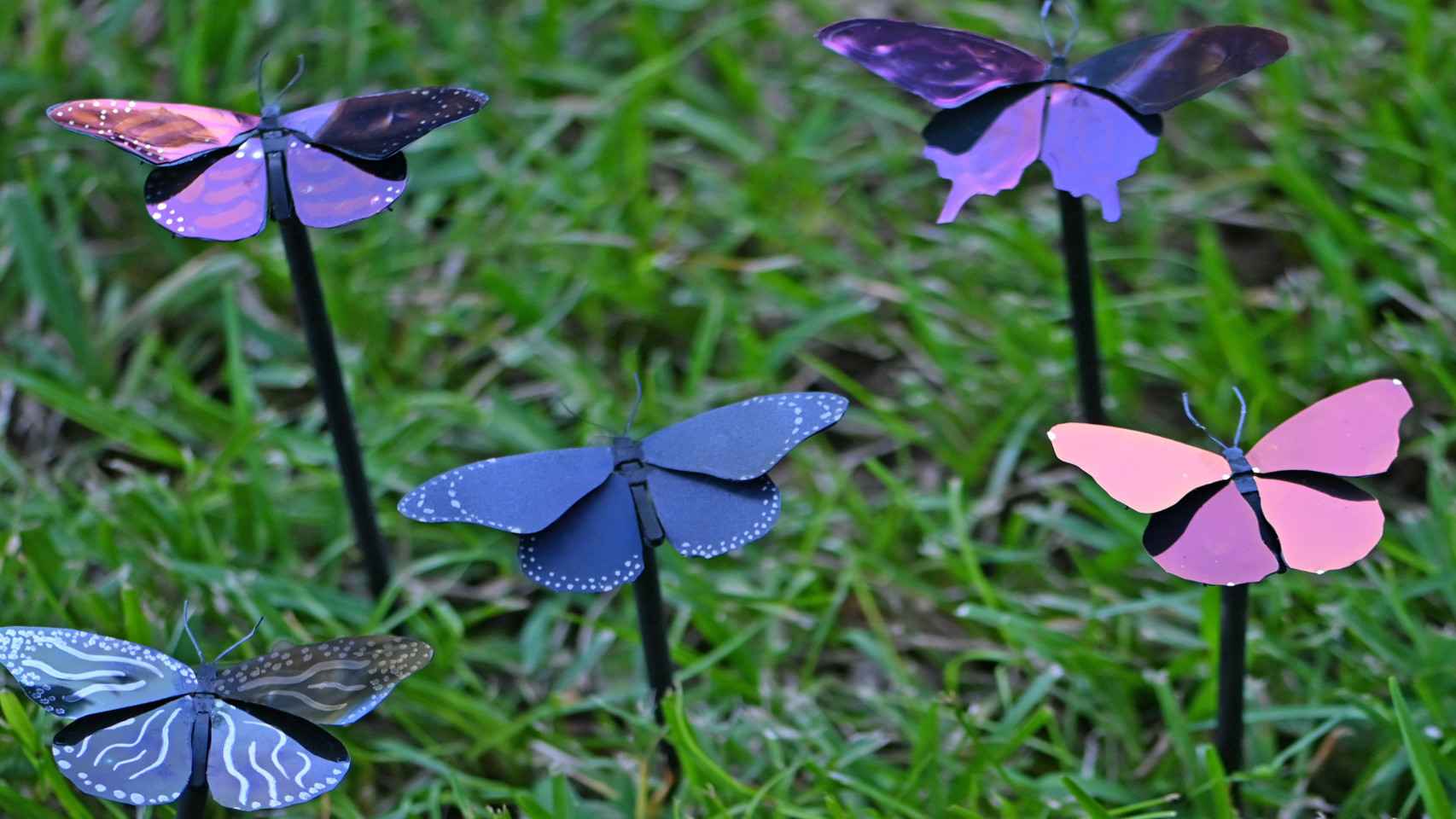 Mariposas metálicas coloreadas con pintura plasmónica