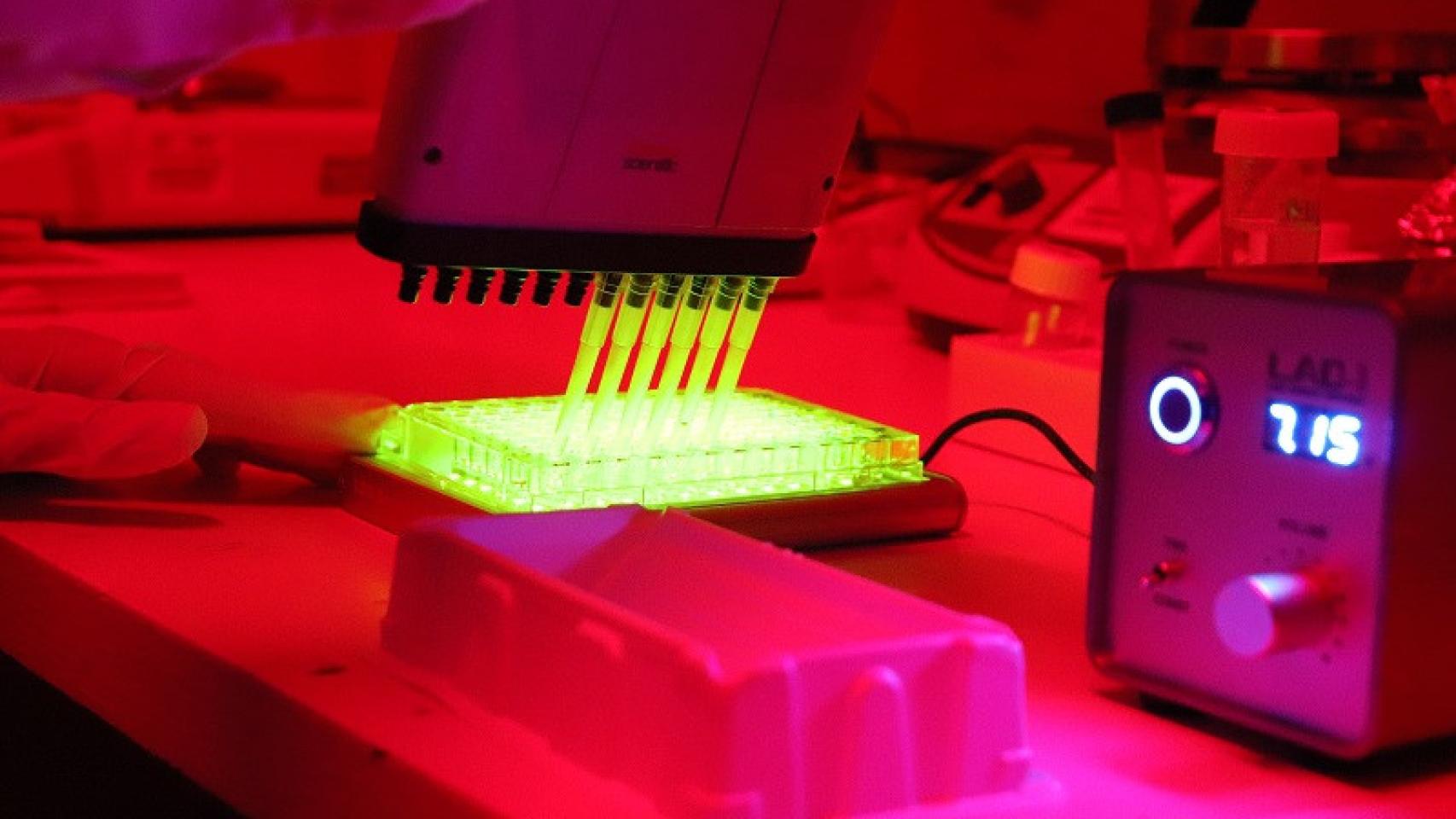 Detalle del laboratorio de Química Médica del Instituto de Química Avanzada de Cataluña (IQAC-CSIC)
