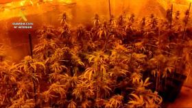 Siete detenidos por traficar con droga en Toledo y Madrid: