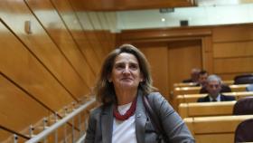 La vicepresidenta tercera y ministra para la Transición Ecológica y el Reto Demográfico, Teresa Ribera