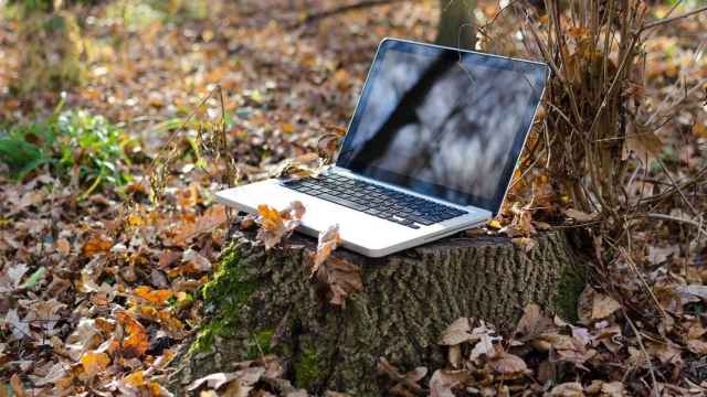 Imagen de un ordenador portátil sobre un tocón de árbol en el campo.