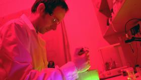 Laboratorio de Química Médica del Instituto de Química Avanzada de Cataluña (IQAC-CSIC)