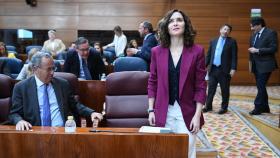 Isabel Díaz Ayuso, en la Asamblea de Madrid.