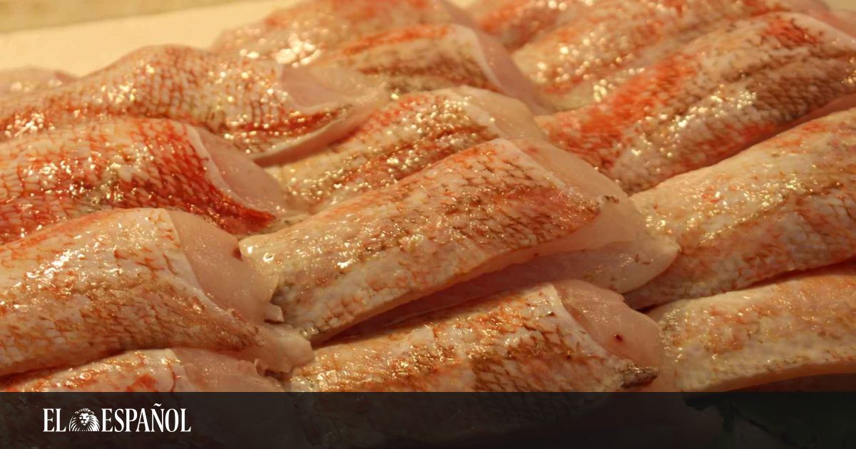El pescado español desconocido que los  nutris  recomiendan: es una  bomba  de proteínas