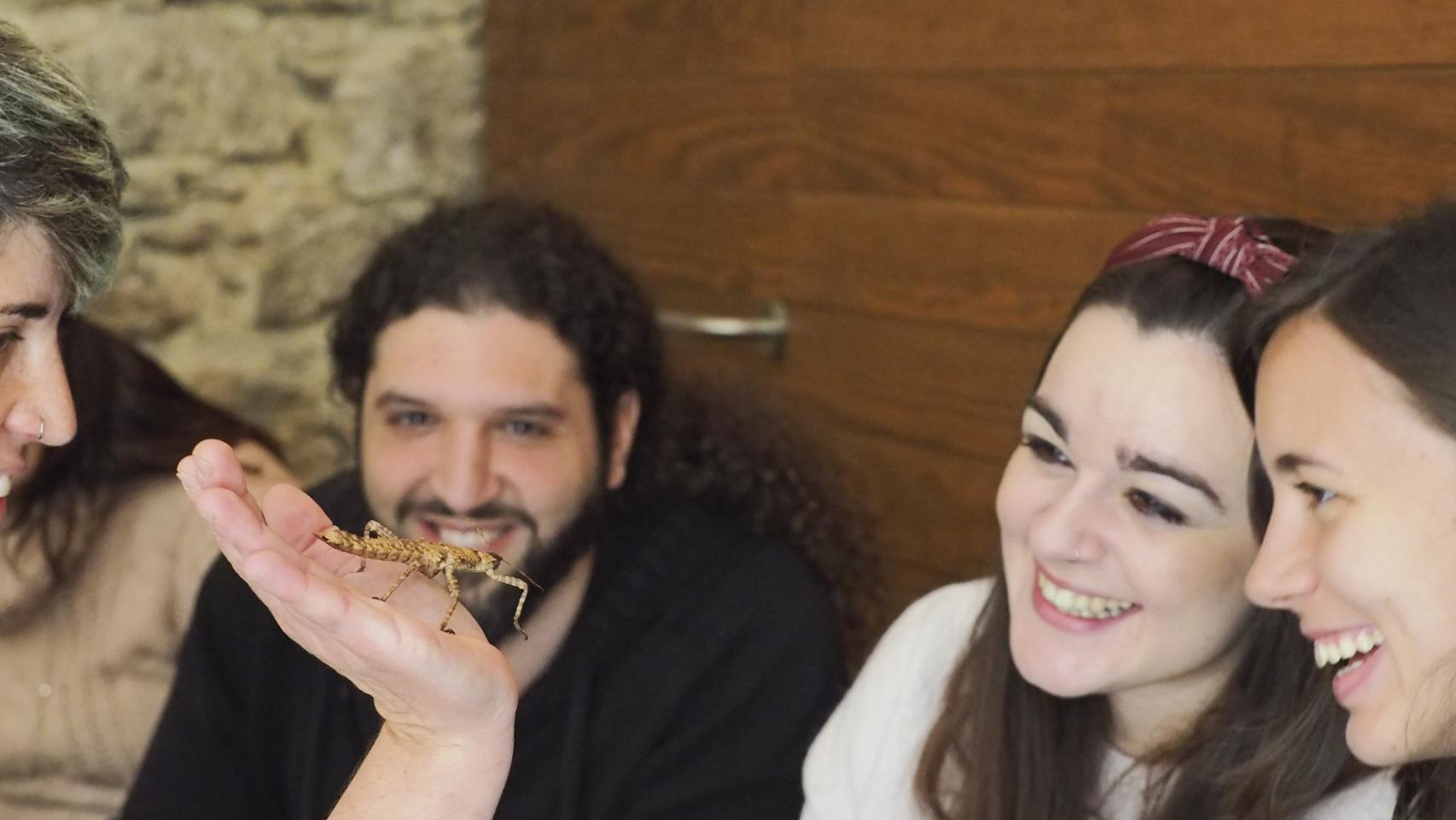 El talle del Insectpark.