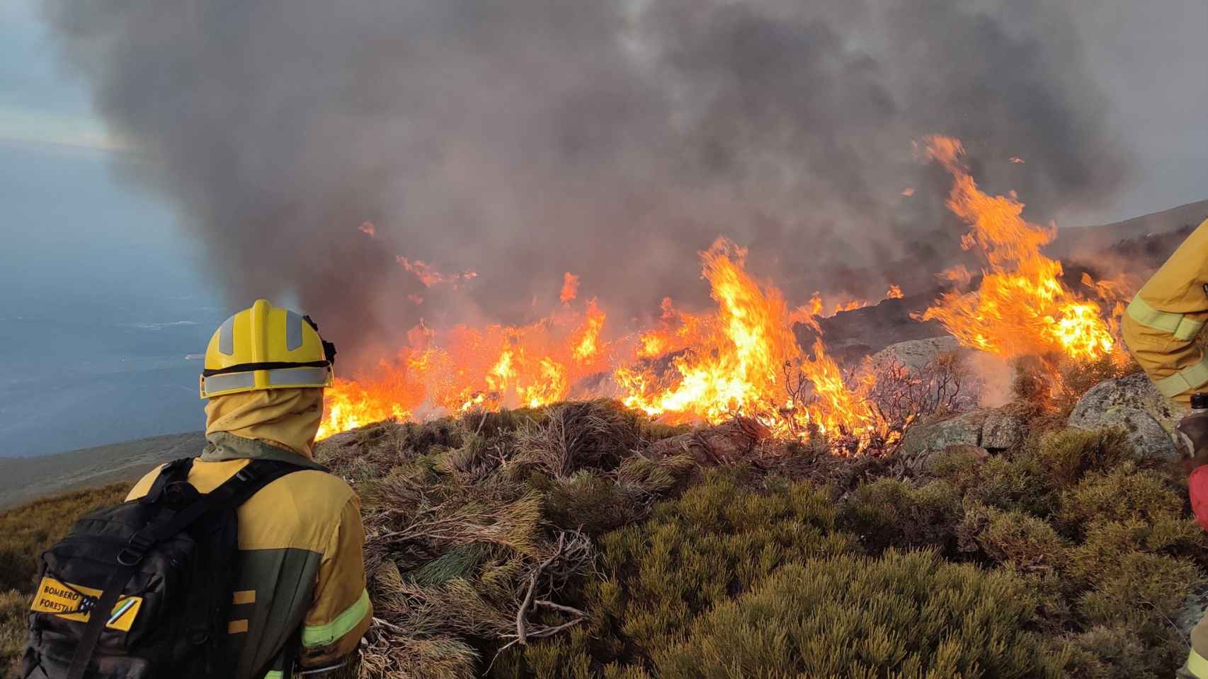 Labores de extinción del incendio forestal de Candelario