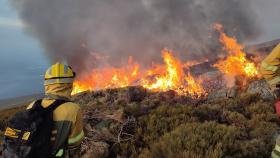 Labores de extinción del incendio forestal de Candelario