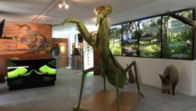 Una de las salas del Insectpark.