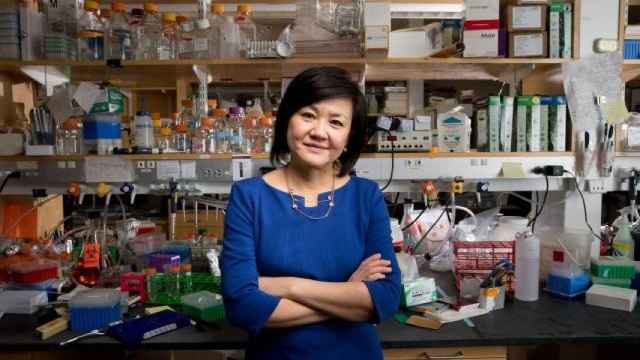 Li-Huei Tsai, neurocientífica del MIT, en un laboratorio.