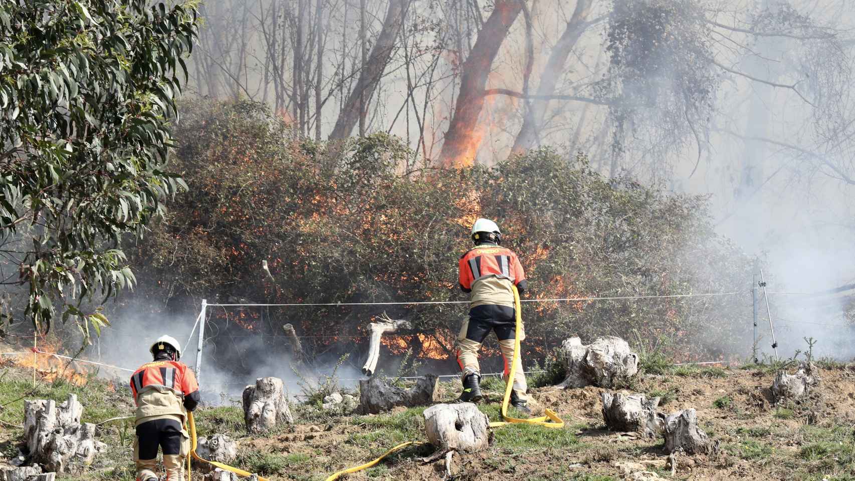 Varios bomberos trabajan en las labores de extinción del incendio registradoen el Monte Naranco de Oviedo.