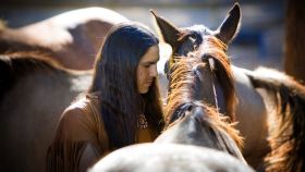 La conexión entre las personas y los animales de carga ha sido fundamental a lo largo de los últimos cuatro siglos en Norteamérica. / Sacred Way Sanctuary